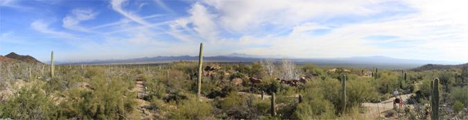 View of a blue sky criss-crossed with wispy white clouds, taken from the Overlook