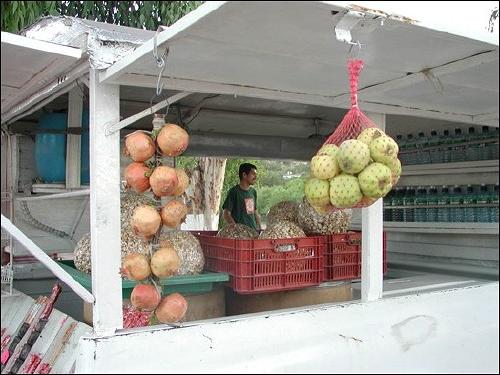 阿加莎·加斯特勒姆，Tumacácori